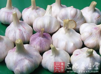 大蒜 (Garlic)又叫蒜头、大蒜头、胡蒜、葫、独蒜、独头蒜，是蒜类植物的统称