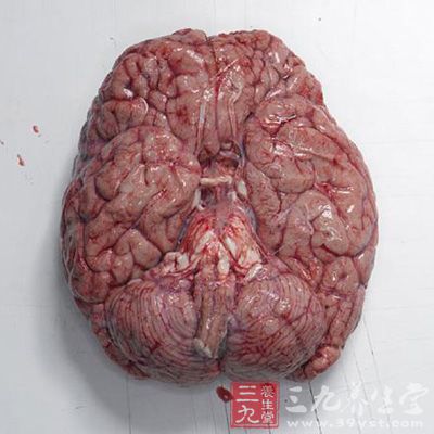 武汉有国内规模最大人脑库 收集1800多个人脑 - 三九养生堂