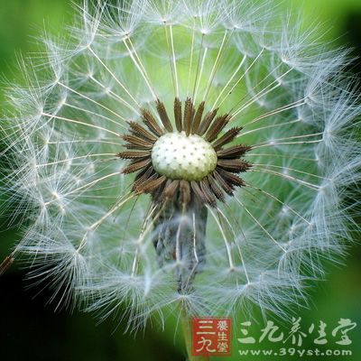 新生儿黄疸怎么回事 新生儿黄疸如何治疗(10)