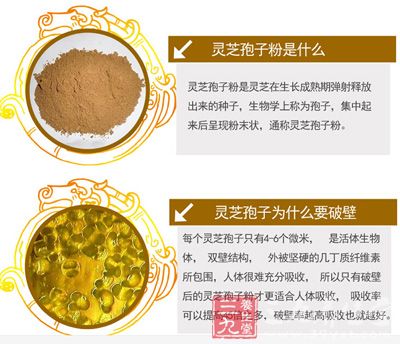 灵芝孢子粉的营养知识