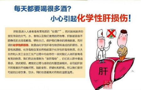 每天都要很多酒?小心引起化学性肝损伤 每天都要很多酒?小心引起化学性肝损伤