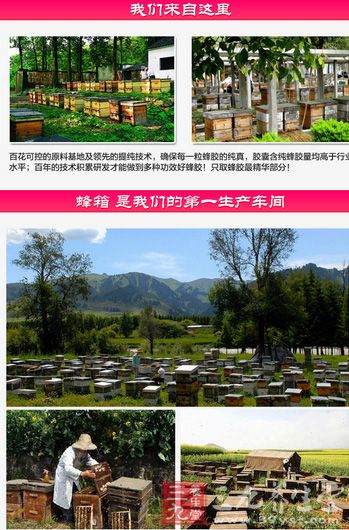 蜂箱是我们的第一生产车间 蜂箱是我们的第一生产车间