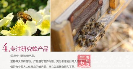 专注研究蜂产品 专注研究蜂产品