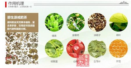 碧生源减肥茶作用机理 碧生源减肥茶作用机理