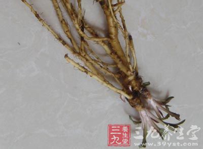 中草药   全草入药,有祛湿,清热解毒功效.