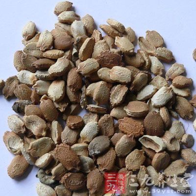 苦瓜子的药用价值与应用-三九养生堂养生百科
