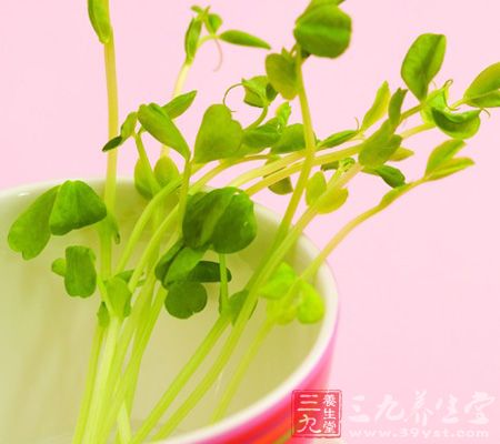 绿豆芽中富含胎儿所必需的蛋白质