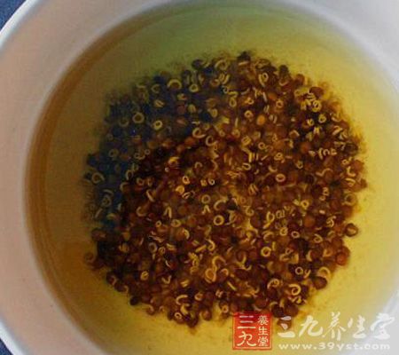 菟丝子茶