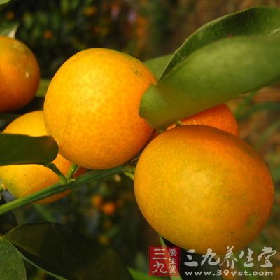 金桔喜阳光和温暖、湿润的环境，不耐寒，稍耐阴，耐旱，要 求排水良好的肥沃、疏松的微酸性砂质壤土