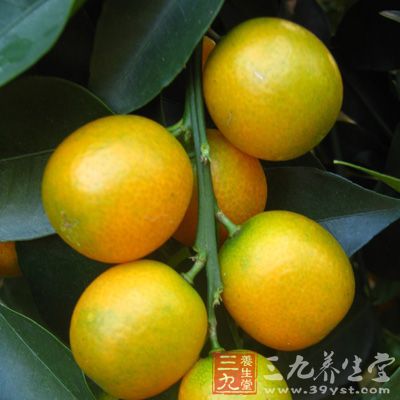 金橘性温、味辛甘酸。具有行气解郁、生津消食、化痰利咽、醒酒的作用