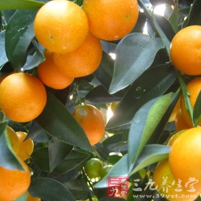 金桔味道清新鲜美，具有醒酒的作用