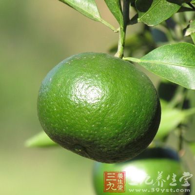 青金桔的功效与作用:美容养颜、止痰润喉、治咳嗽。理气,解郁,化痰,止渴,消食 青金桔的功效与作用:美容养颜、止痰润喉、治咳嗽。理气,解郁,化痰,止渴,消食