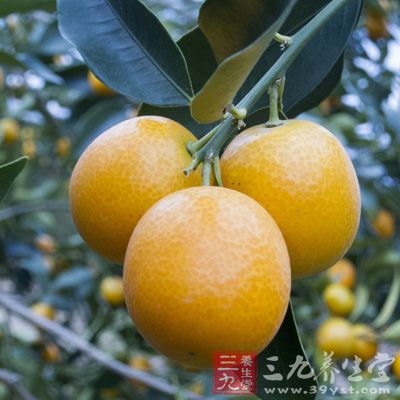 金橘饼、夏橘、金枣、金弹、寿星柑