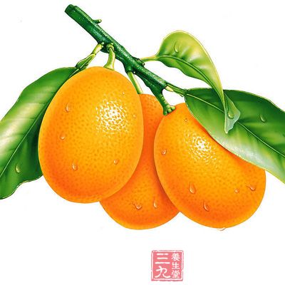 金桔不仅美观,其果实含有丰富的维生素C 金桔不仅美观,其果实含有丰富的维生素C