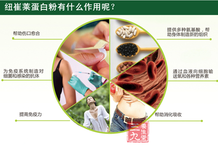 纽崔莱蛋白粉有什么作用呢? 4