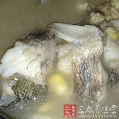 百合淮山鱸魚湯