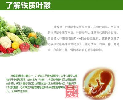 了解铁质叶酸 了解铁质叶酸