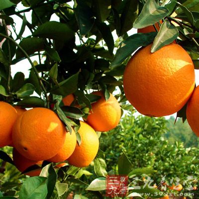 对于橙子这种水果，我们都知道它是一种比较甜的水果