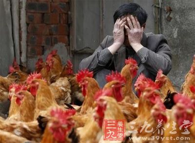 广州三个区检出H7N9病毒 存散发病例风险