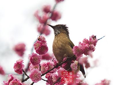 春天来临，气温开始慢慢的回升
