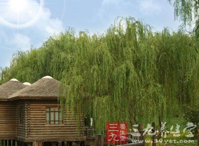 气温变化大几大疾病高发