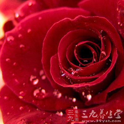 可适当进补鱼胶、雪蛤、玫瑰花、阿胶、大枣、当归