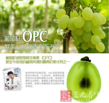 葡萄籽OPC,欧美女性的青春不老丹 葡萄籽OPC,欧美女性的青春不老丹