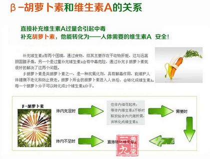 β-胡萝卜素和维生素A的关系 β-胡萝卜素和维生素A的关系
