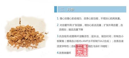 丹参的作用 丹参的作用