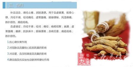 当归的作用 当归的作用