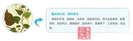 重点成分五:制何首乌 重点成分五:制何首乌