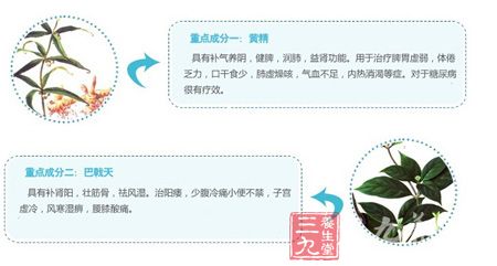 重点成分一和二 重点成分一和二