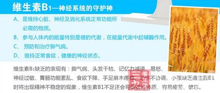 维生素B1&mdash;神经系统的守护神