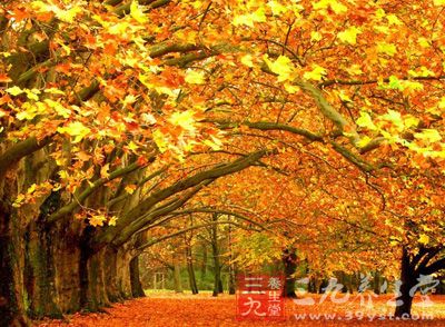 秋分之际，天气变化异常，容易患感冒