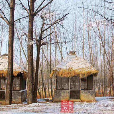 情志：恬淡安静畅快心情