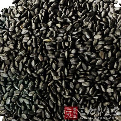 秋季时节,可适当食用芝麻、糯米、粳米、蜂蜜 秋季时节,可适当食用芝麻、糯米、粳米、蜂蜜