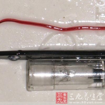 新鲜带鱼内爬出寄生虫 专家称是异尖线虫