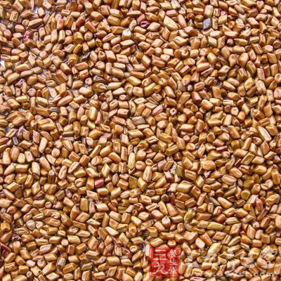 滋肝补肾,降压熄风 滋肝补肾,降压熄风