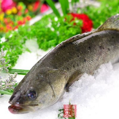 鱸魚(yú)有著魚(yú)刺少、肉質(zhì)鮮美細(xì)致、易消化和吸收的特點(diǎn)，特別適合產(chǎn)婦食用