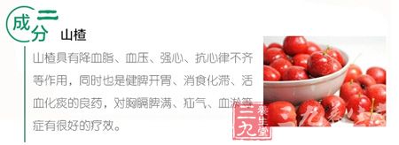成分二 山楂