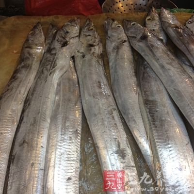新鲜带鱼爬出不明寄生虫 鉴定为异尖线虫