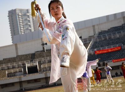 陈式太极拳 陈式太极单剑48式动作名称