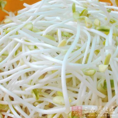 春日食春芽是大自然的赐予