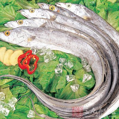 带鱼具有补血养肝,中和开胃的作用 带鱼具有补血养肝,中和开胃的作用