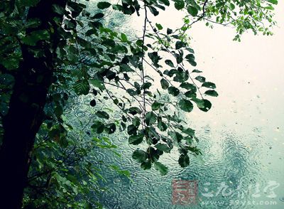 雨水时节空气湿润,又不燥热,正是养生的好时机 雨水时节空气湿润,又不燥热,正是养生的好时机