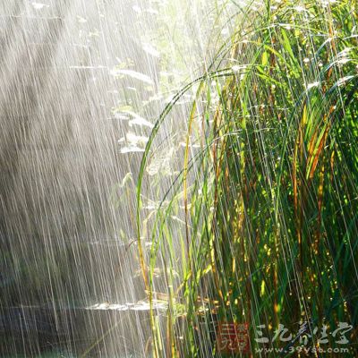 24节气雨水养生的药膳 24节气雨水养生的药膳