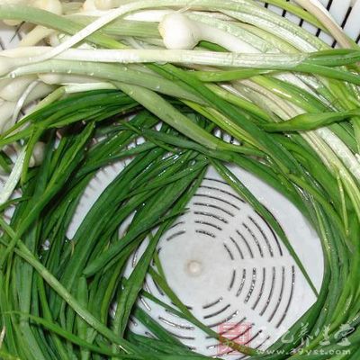 野蒜又叫大头菜子、小独蒜