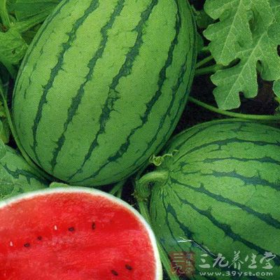 养阴生津：&ldquo;瓜族&rdquo;当家