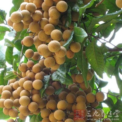 15克龙眼肉、5颗红枣 15克龙眼肉、5颗红枣