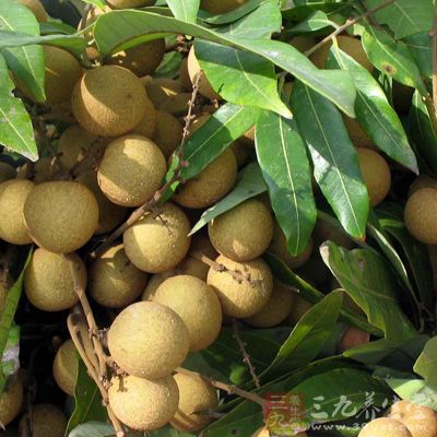 吃龙眼延缓衰老 吃龙眼延缓衰老